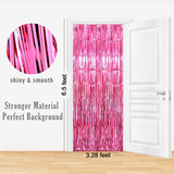 Decorative Foil Fringe Curtain For Birthday  Party Decoration