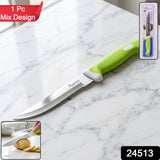 Mix Design Ss Kitchen Knife 9 Inch Stainless Steel With Plastic Handle (1 Pc)