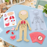 Educational Human Body Anatomy Puzzle With Organ Pieces And Learning Cards Set