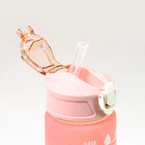 Plastic Colorful Motivational Water Bottle With Straw (900 Ml)